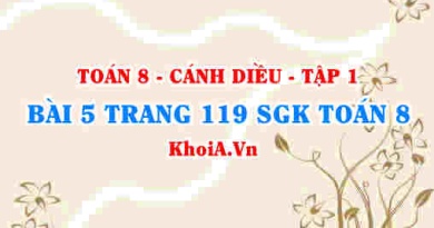 Bài 5 trang 119 SGK Toán 8 tập 1 Cánh Diều